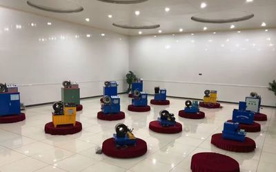 China Shanghai Fanying Machinery Technology Co., Ltd. Perfil da empresa